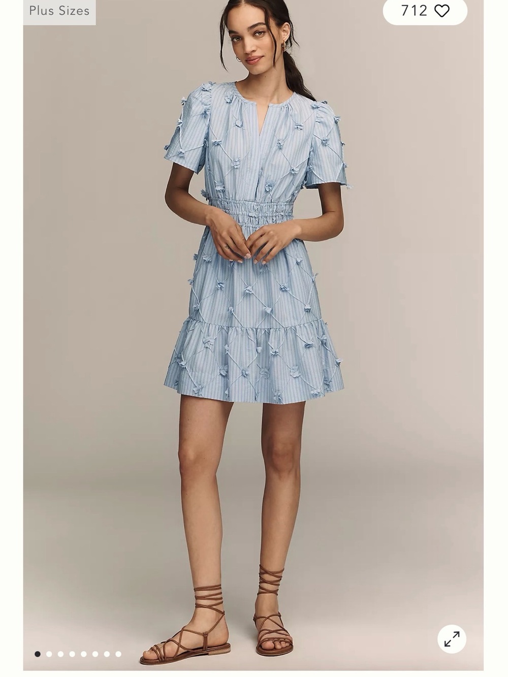 Anthropologie Somerset 3D Floral Blue Stripe Mini Dress Size S NWT